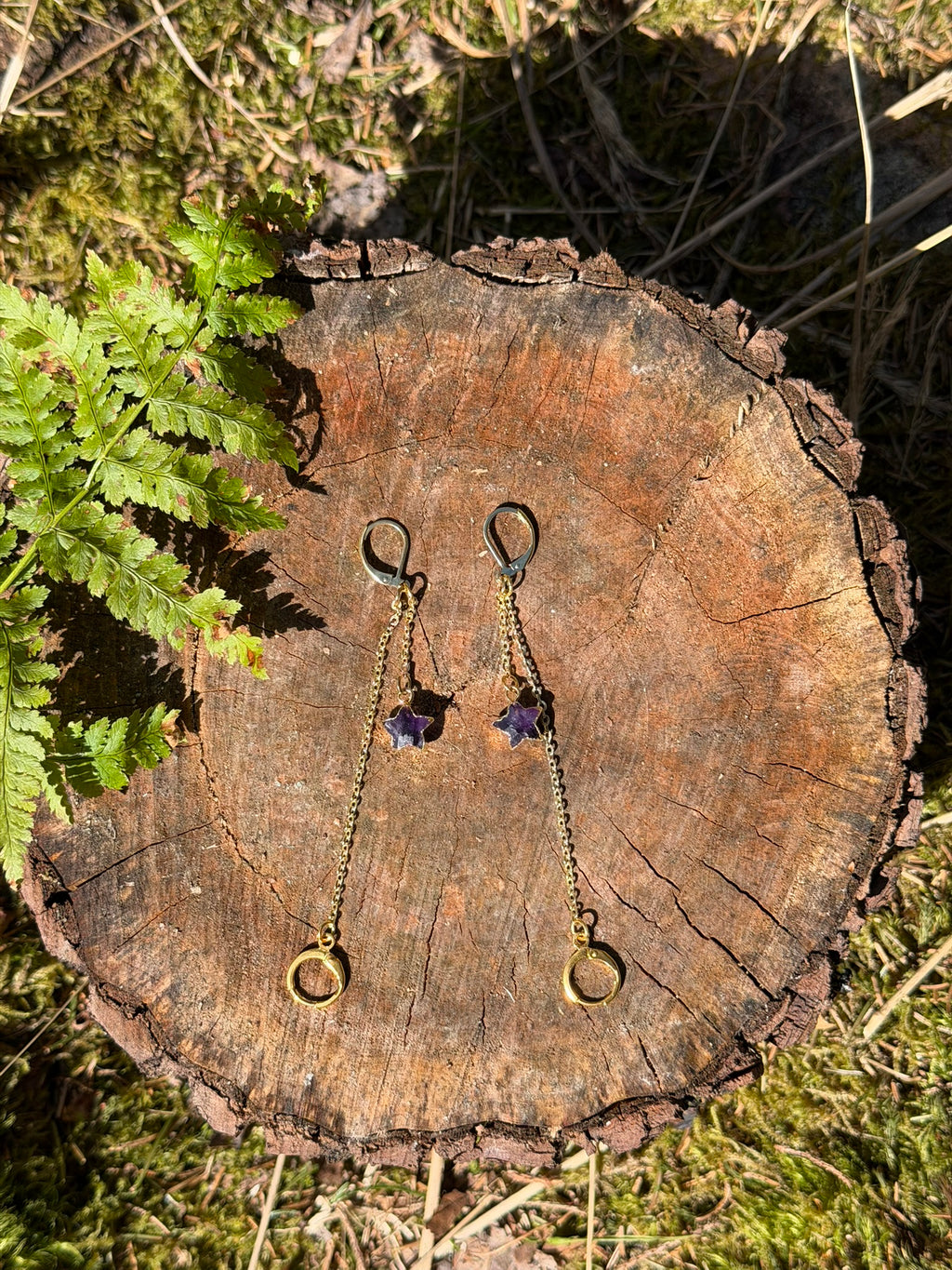 Keepsafe Adventure Earrings