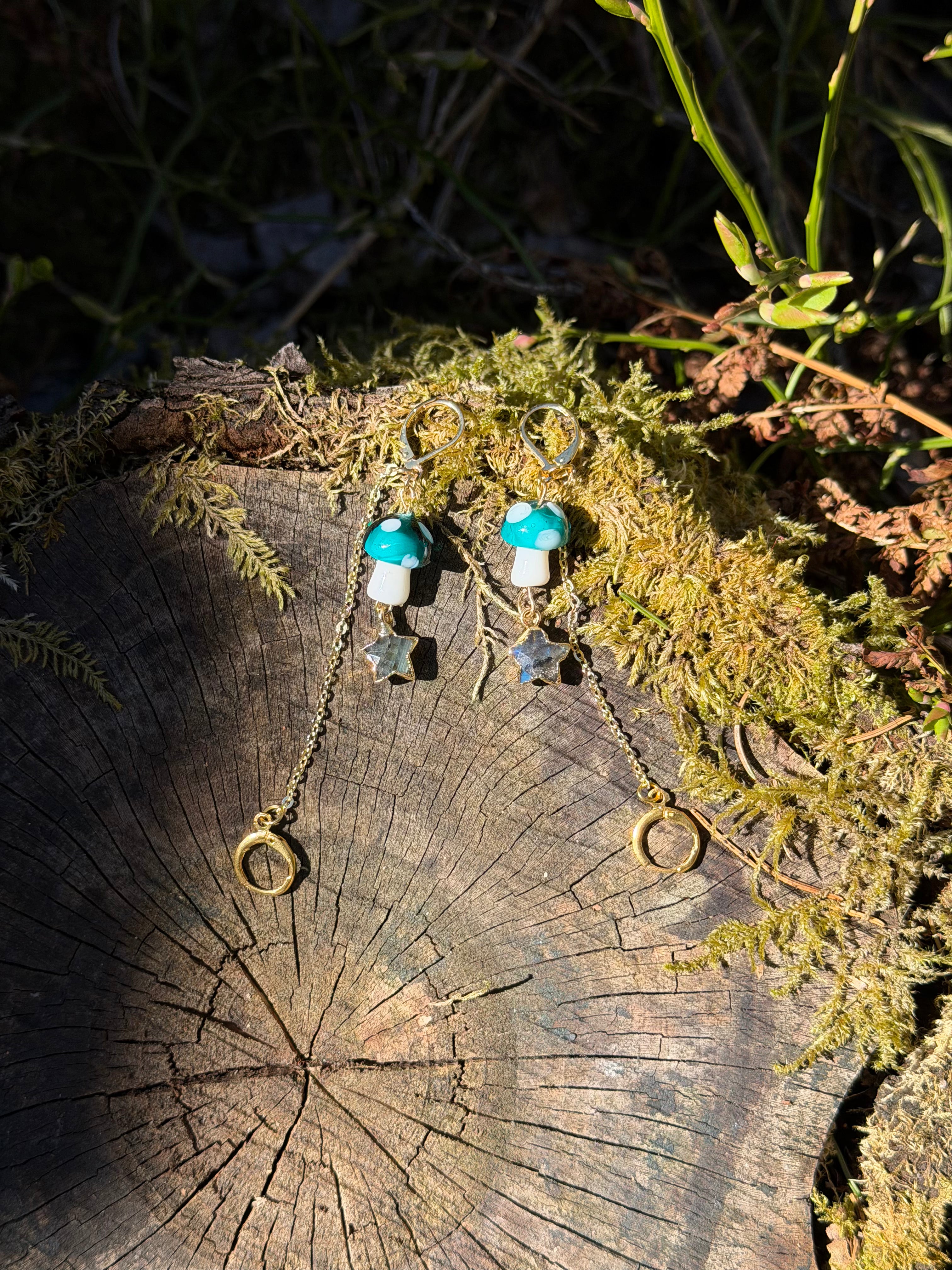 Keepsafe Adventure Earrings