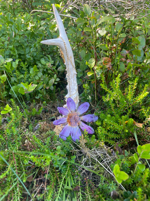 Blomstersmykke