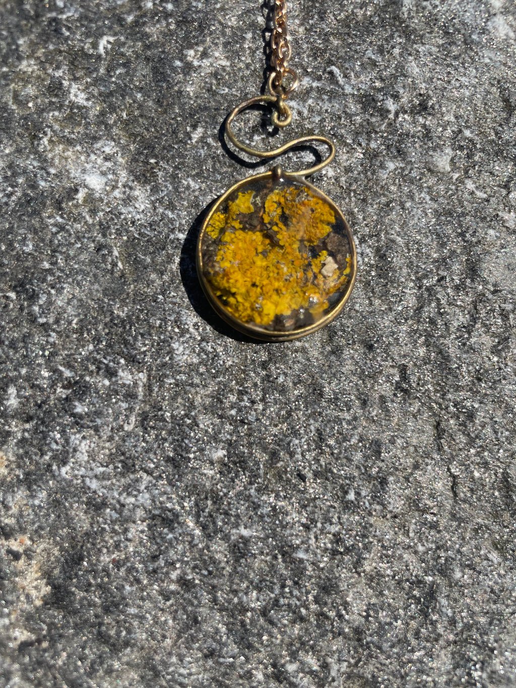 Gult lav, medaljong