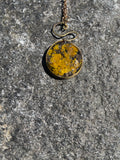 Gult lav, medaljong