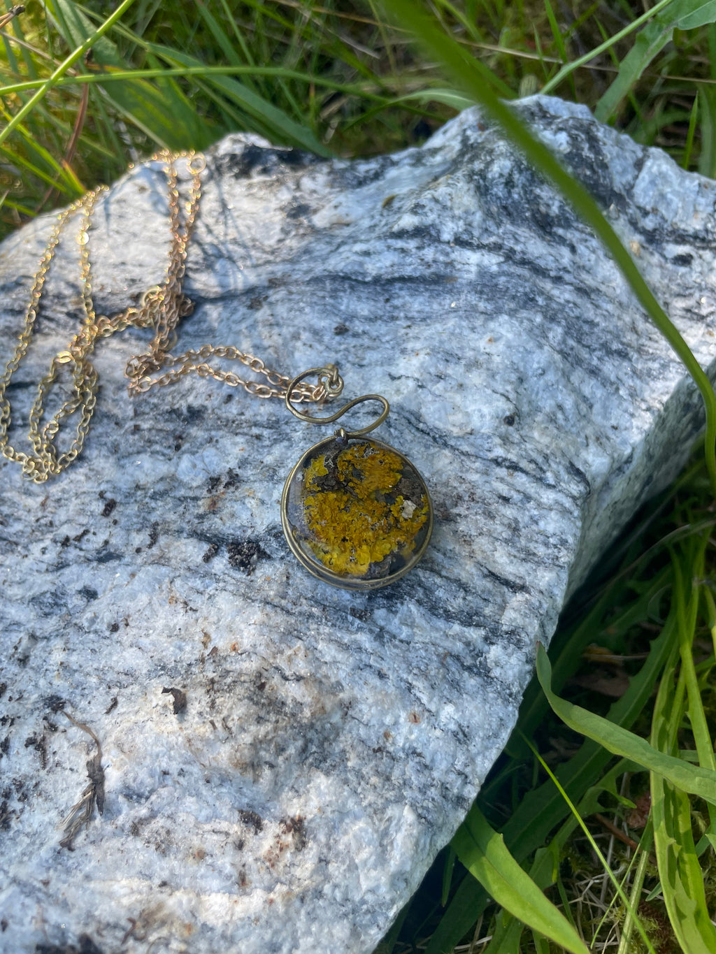 Gult lav, medaljong