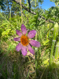 Blomstersmykke