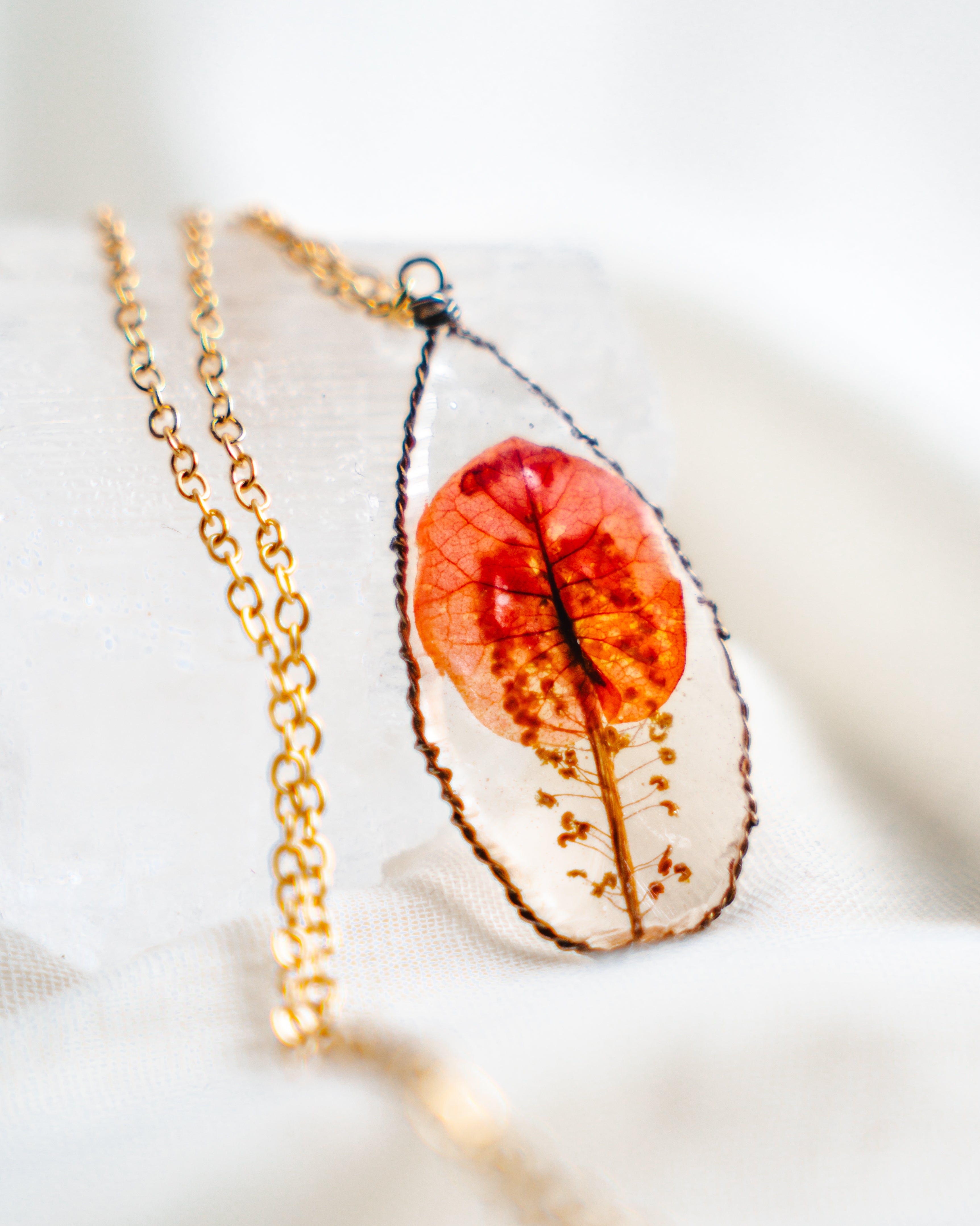 Påfugl i soloppgang